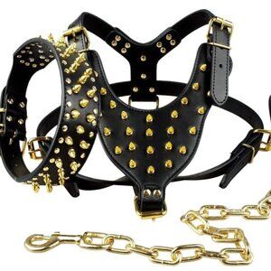 3 Piece Dog Bling Vest